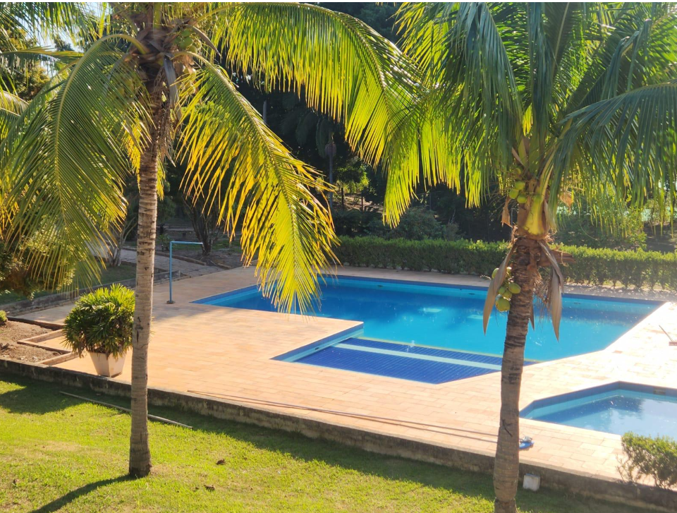 Piscina cercada por coqueiros na Vó Tuca