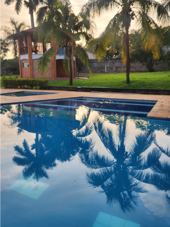 Reflexo das palmeiras na piscina ao entardecer