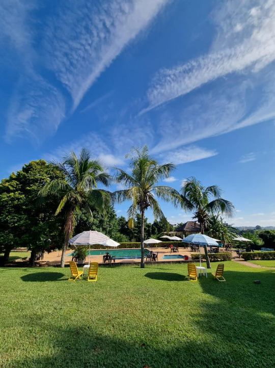 Gramado amplo com palmeiras e céu azul